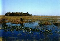 Sítio Arqueológico na Fazenda Bodoquena