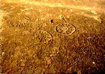 Petroglifos na Fazenda Figueirinha